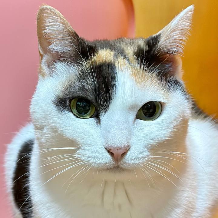 77809bf8 4f8e 4121 bbe2 1575cd09adc8 1684548312404