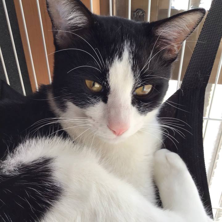 7780a9eb 74a1 432f a639 ea0c31699bab 1639877625556