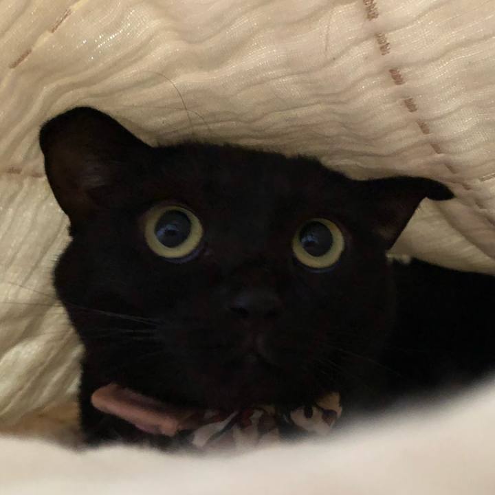 7780b1e9 f094 4336 8010 d61739363075 1596149356444