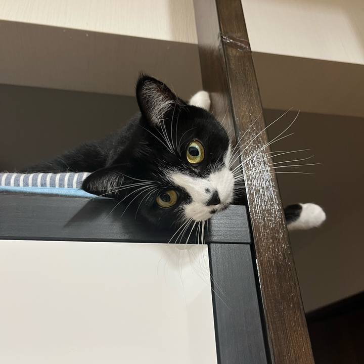 7780b6f7 e2d2 485a 8612 a43a7812b10b 1695214838641