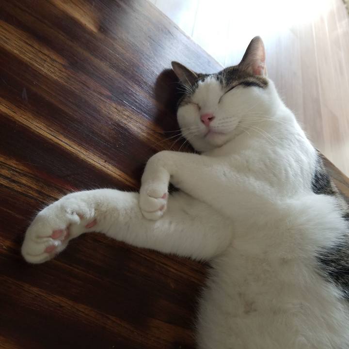 7780b8af b047 4eb6 a05d 06d313ed6596 1565750714318