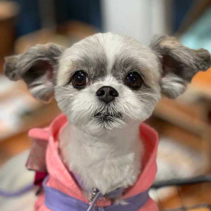 77810b23 6893 4b7f 8fbf 8062b8bb425e 1666133853092