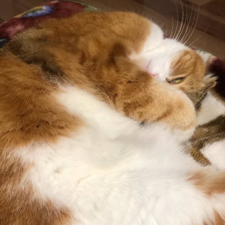 7781658e b24b 462f 89bc 5fac44dadc84 1608294345872