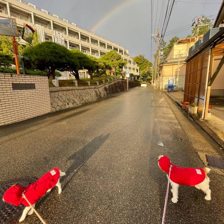 77817eed b794 4052 a65c 13ed28195b83 1634514960511