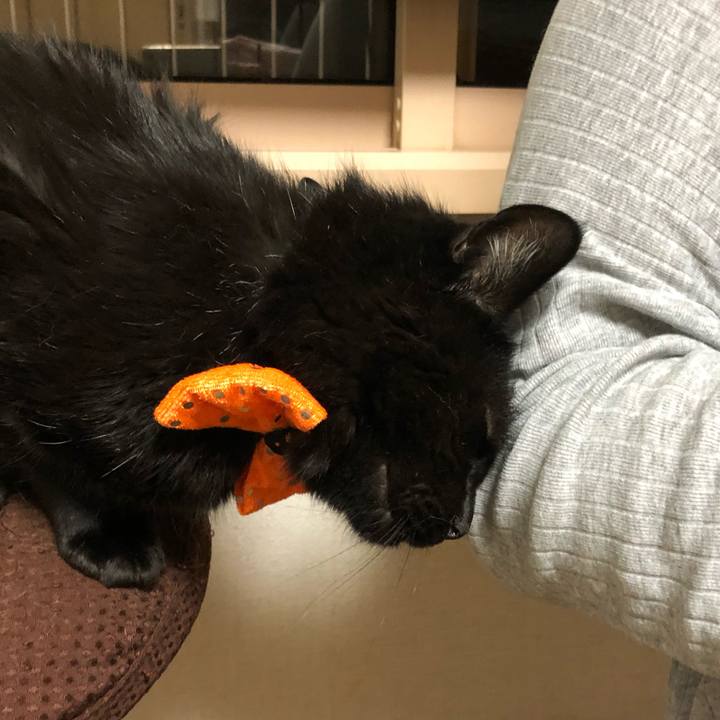 77818f23 50ce 4fe5 8e9a b79c2cdea513 1601479374892