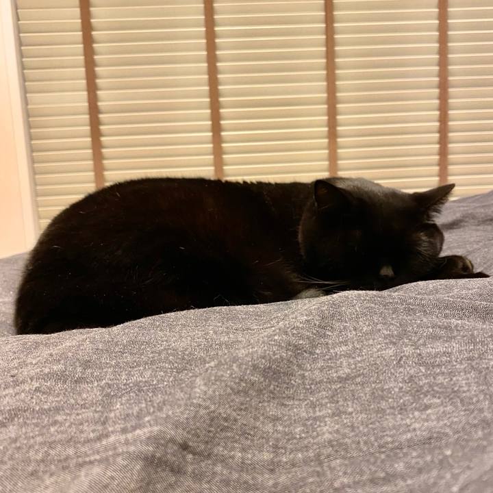 77819cda 20f9 4534 8703 44e287b1146f 1669637800598