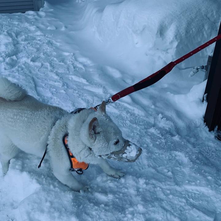 7781e88c 5c1b 44c8 b115 6787fe1d76c2 1674947494034