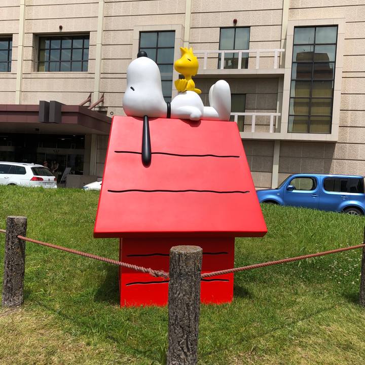 7781ecbb 78ec 4dbd 9fea e30d8e7fcb0b 1561550757017