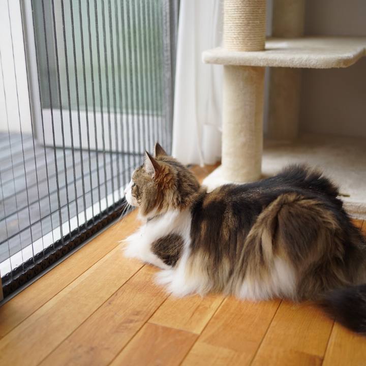 77820dea 9e85 4555 a350 9ba96793667b 1625546065306