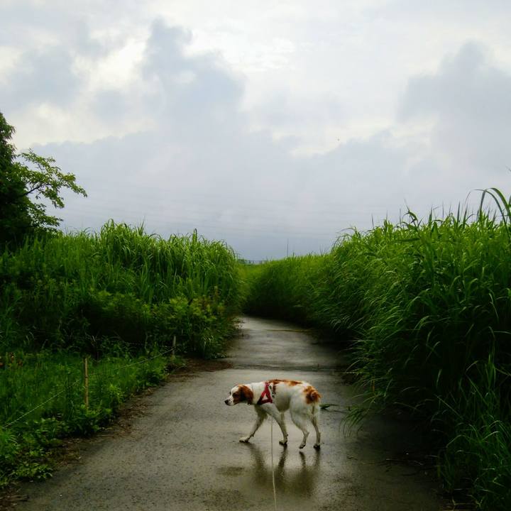 77821218 2b3d 4f9c 9036 e86792ddadf4 1529560510195