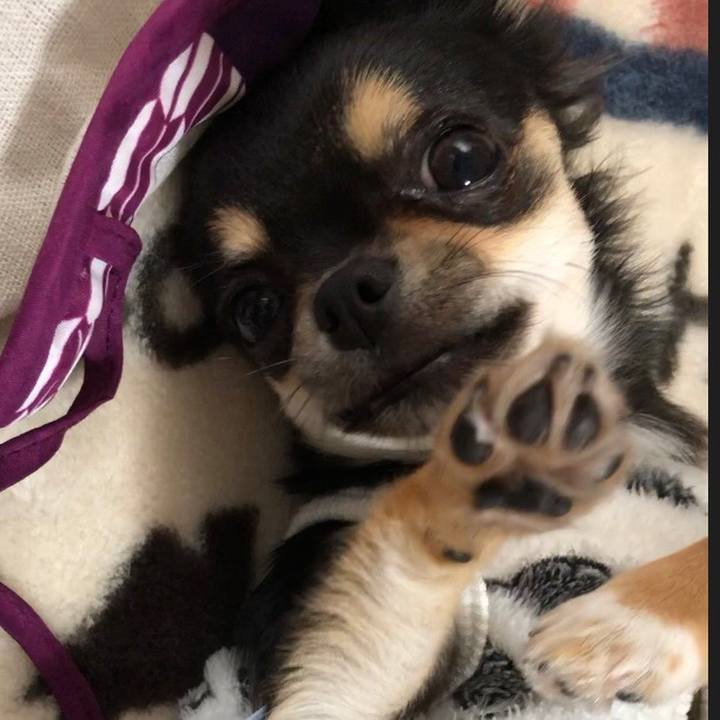 7782284c 7726 4b42 81f1 9e34b81bf8a8 1543357712323