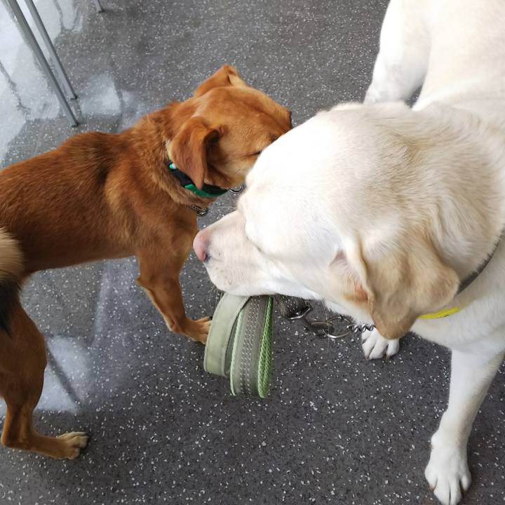 77822da3 bb12 4bb4 bb02 5de14884e364 1555220475123