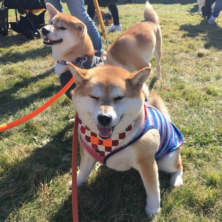 77827b56 bd0c 4c09 9801 fef983cd674b 1573917449156