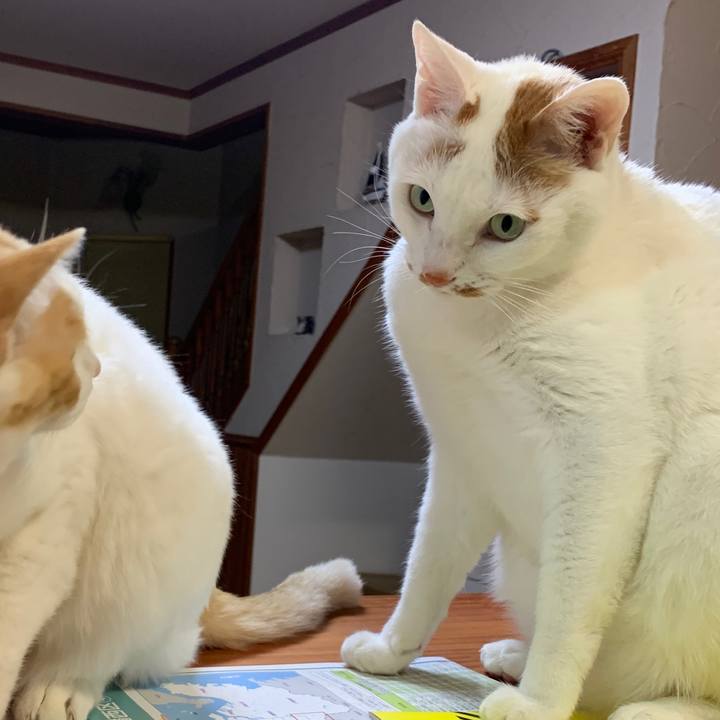 7782cbe2 21f6 4f36 b62a f03ff8160c4b 1645787499902