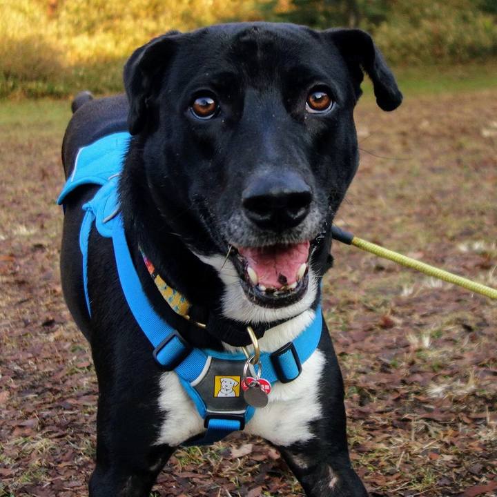 7782d34b 9cc2 4e69 8891 c7d2ddd7cb91 1611880865943