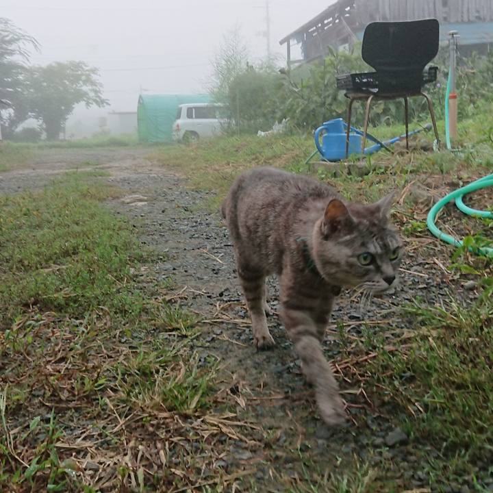 7782e9a6 c0f0 44f0 a38b bca32582c7f7 1567716211195