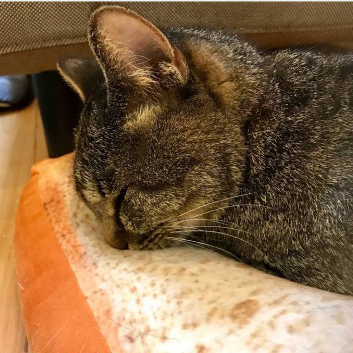 77830b59 7145 43d9 b281 985ff1d8acd0 1690620038862