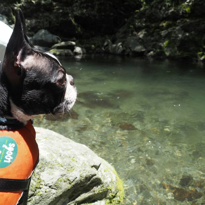 77835ce2 fa2b 4fec 959a 57a425e69646 1530418200941