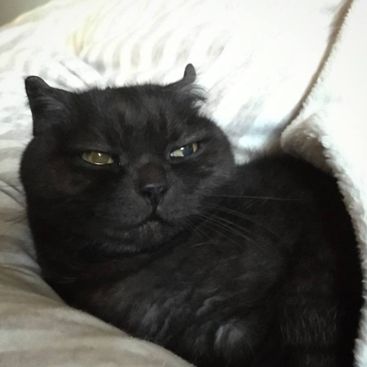 77836171 63d4 4b70 95bd 25379e73abb3 1577578648624