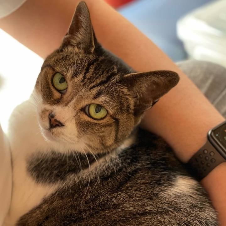 7783653c 0d4f 4747 bab1 3d0c01fa554c 1654999786784