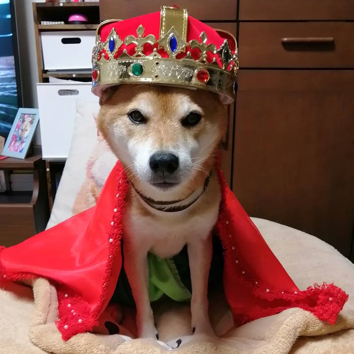 778368ad 97db 4374 9ae4 d541dc2e02d2 1666778132445