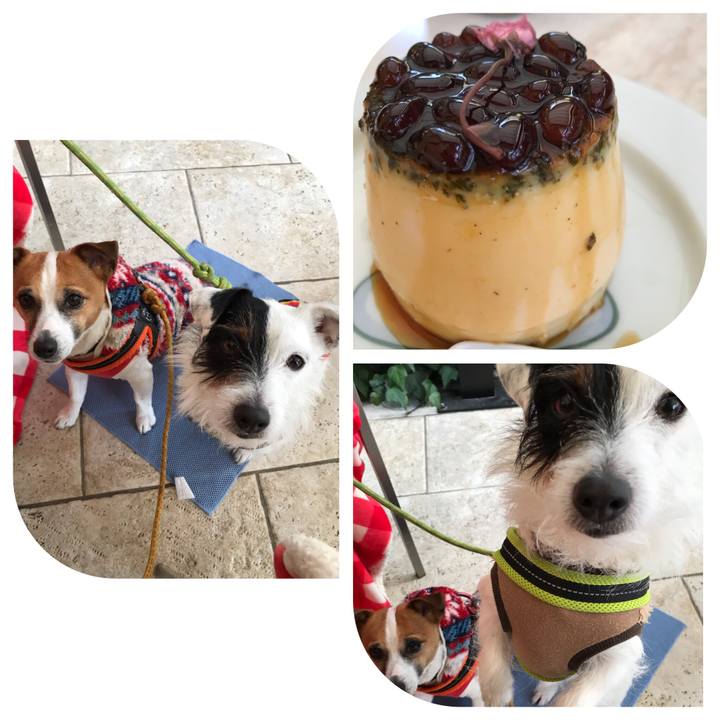 77836d8c 886b 4f51 856a 32757b64cd50 1519550761809