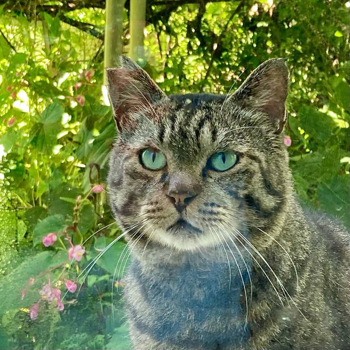 77837ea4 25f4 492c b69d 94ce9e9032f0 1661733205990