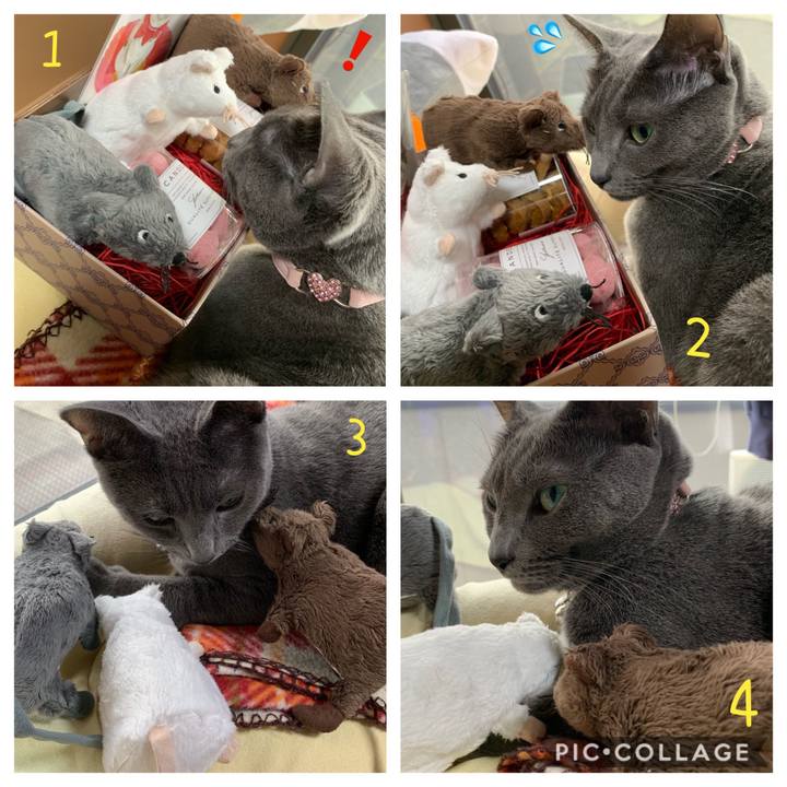 7783845e 46e6 4a84 9bf9 0cec1a884686 1573550673758