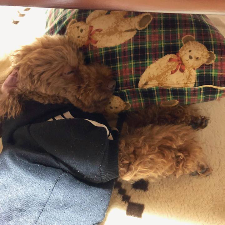 77838f7f 303b 4e96 a3b8 ca24602781e3 1549792290738