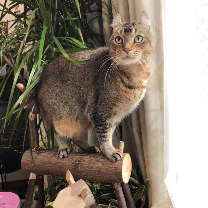 77839f08 2ac7 4c94 8b45 5501985f9328 1610338454668