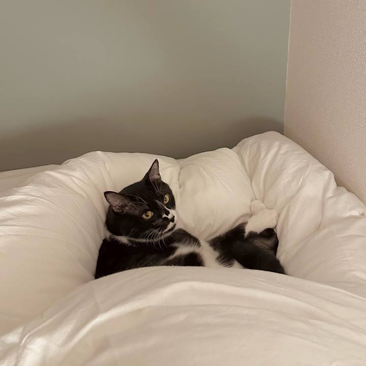 7783a954 9091 4dfe 9f7c b2144d787800 1772120165171