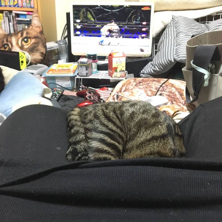 7783e09c 0dd5 4e05 8fcf 6be31f09894e 1550913996649