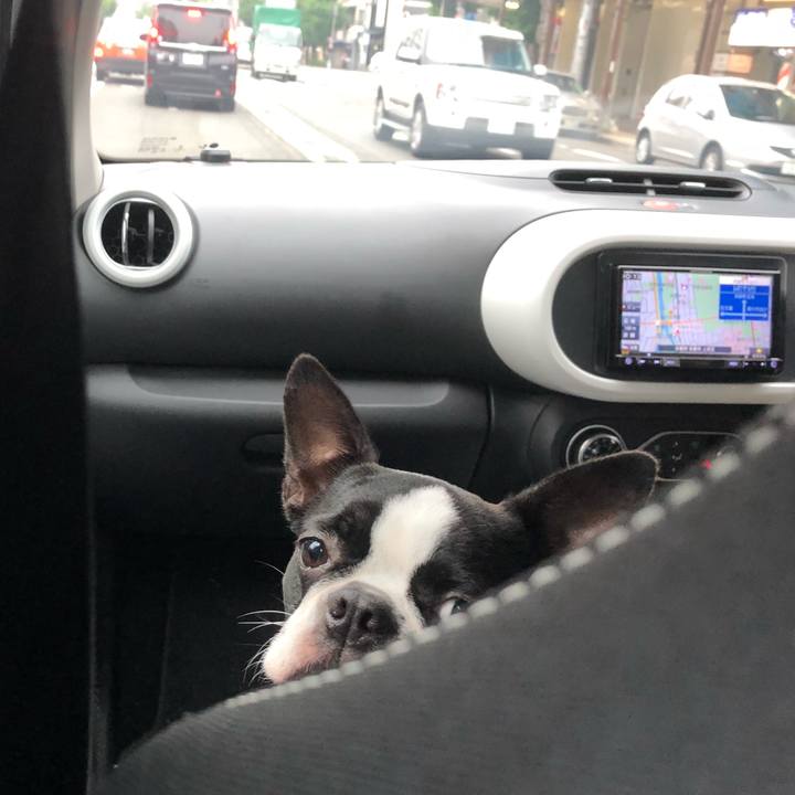 7783faf3 6549 4de2 b090 b0448fd88e8d 1527739010904