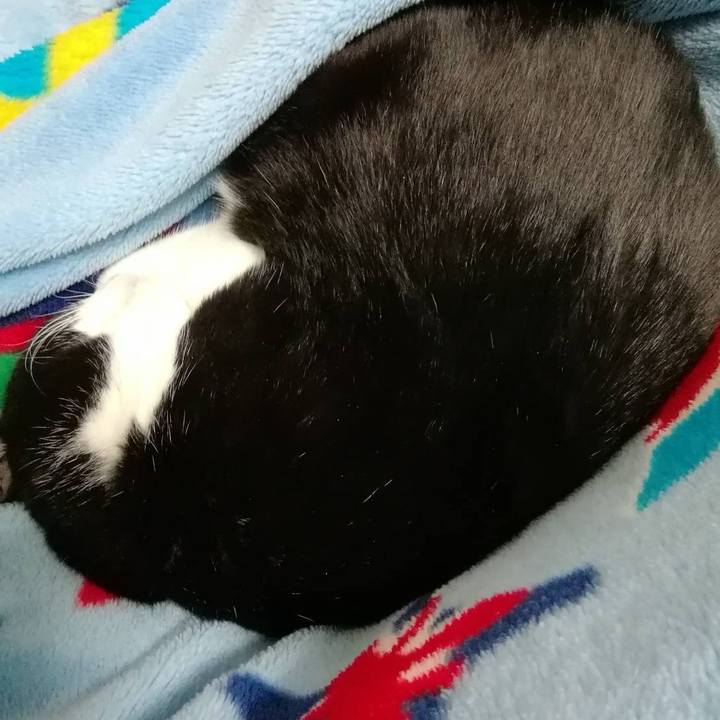 77840b78 c2fb 45b6 86fc 2dd62da44d15 1579270354067