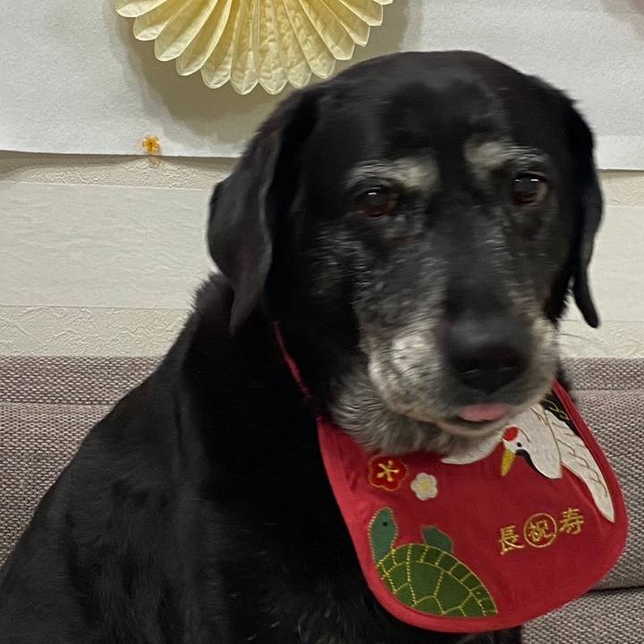 7784607b b02d 4d35 8673 00e8ad4e5145 1701087952790