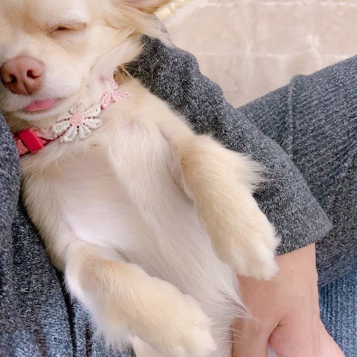 7784b635 c4a9 431c b85c 7404f071b00a 1615974713014