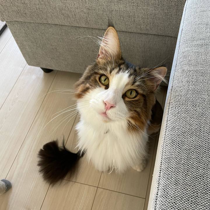 7784f28f d0aa 4b6c b988 c7a96e6f4cce 1659131573757