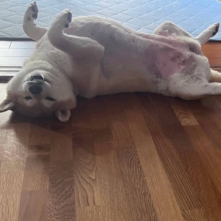 7784f2bb d01f 4c39 836b 7f968e35552e 1758606076903