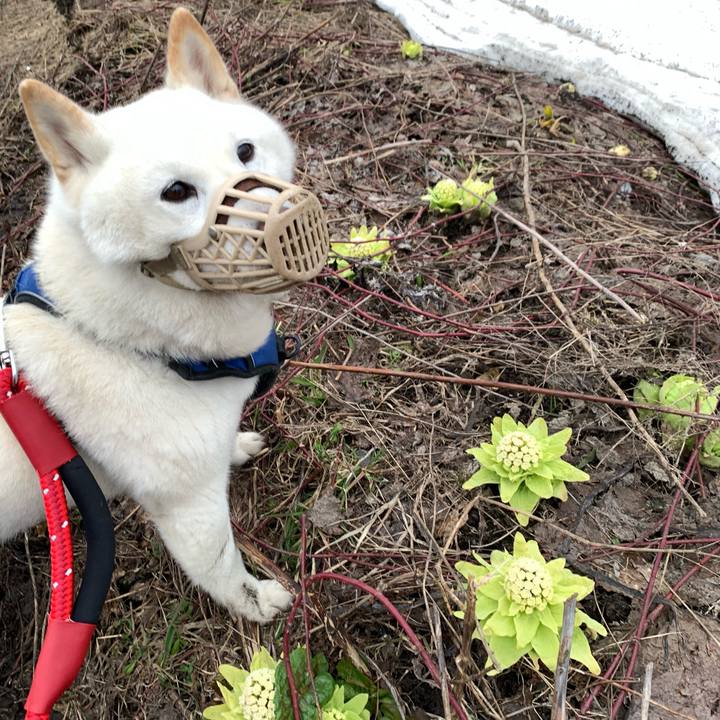 7784fe23 f10d 48e3 8922 3bea498f1ff8 1649194106366