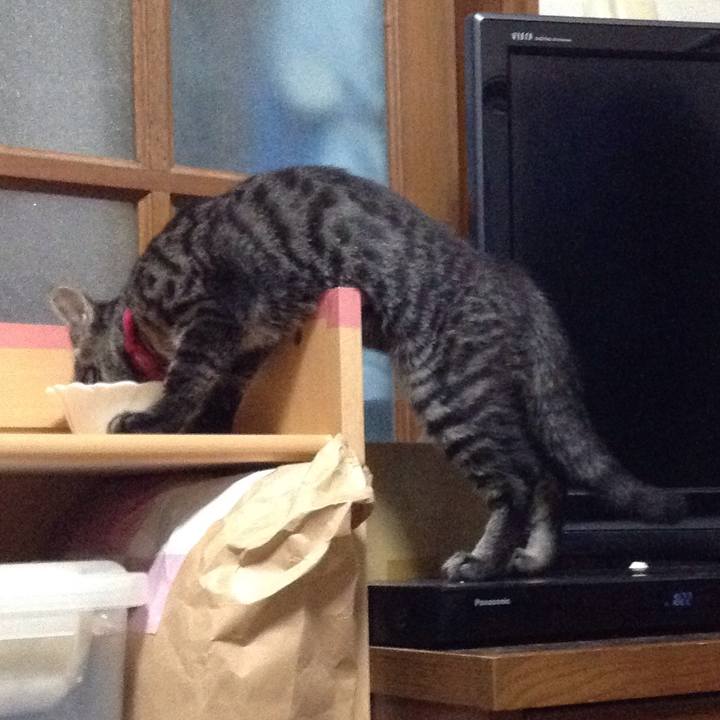 77851b2b 1a39 401b b83a 7c6116f91a2a 1531301119239