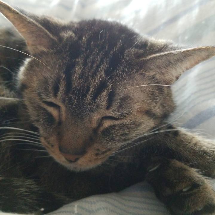 77853ad1 8c3b 4702 a45b 0c6bf486be34 1571446763738