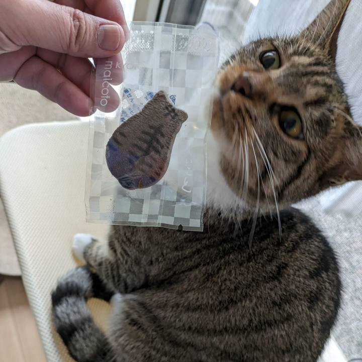 77854656 4a57 426c b51d ff35792b41c9 1688514496209