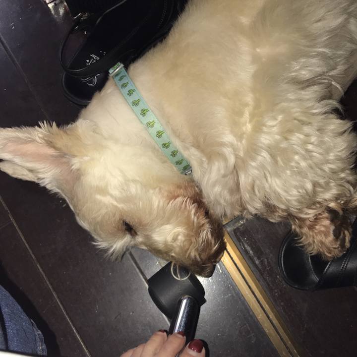 778567f9 3dae 47f4 a28c 731dea7d2aee 1564622513499