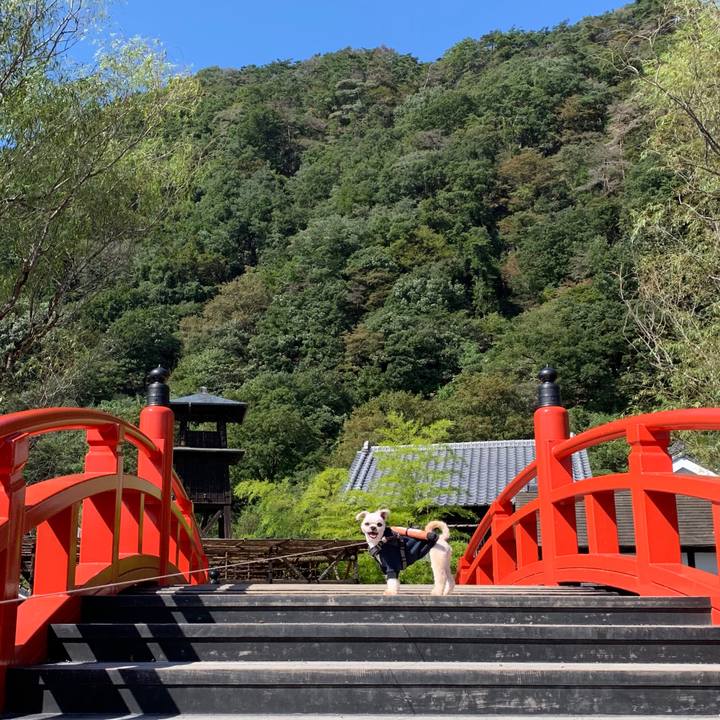 77857891 20f9 491f ae34 2abc16a370b7 1570284994520