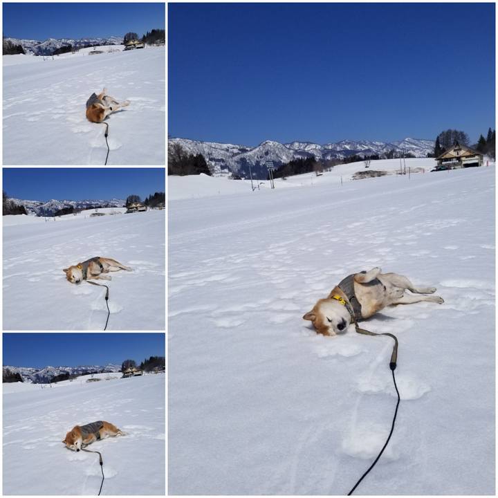 7785d0ae b893 439c 85e1 80087151abac 1678074590698