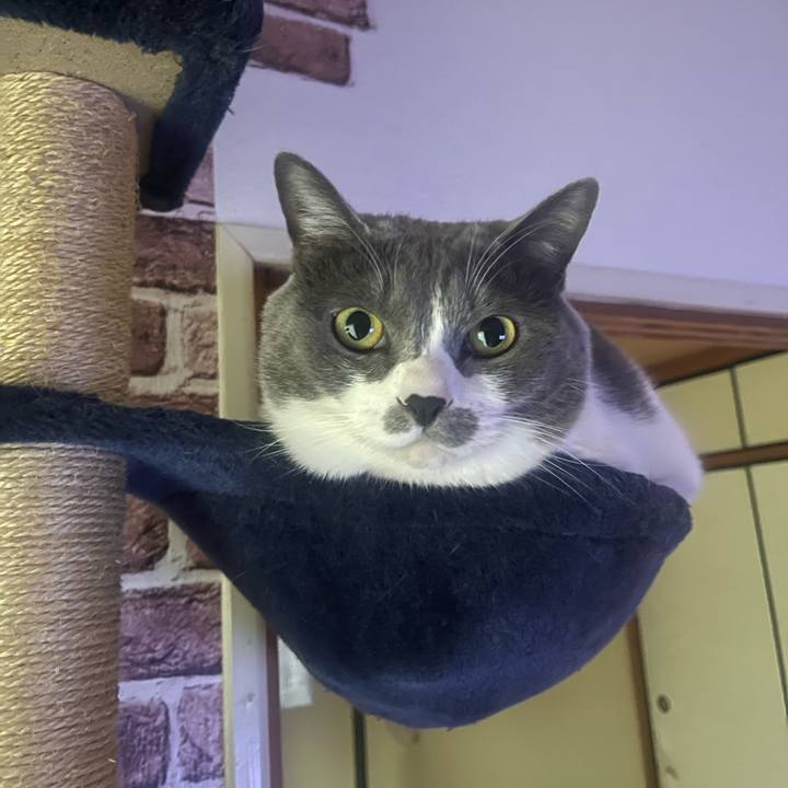 7785edb8 9a84 4499 96df e612847f1530 1708297412585