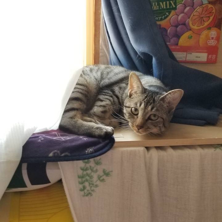 7785edc0 1576 46fb 833b fd22cb4ff267 1685189197706