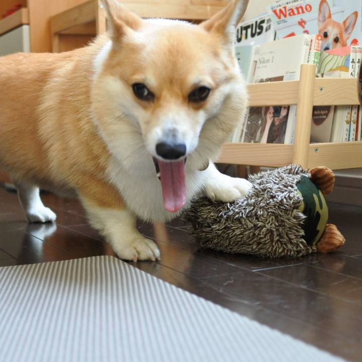 77867b1d feaa 4a4a 91b4 05d26f6835aa 1565948923018