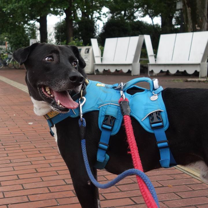 77867be6 fe3f 414a 9272 8e4a32afe3ef 1626224219868