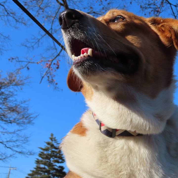 77868ba2 e357 4ae6 8a66 fb028f549866 1673485977054